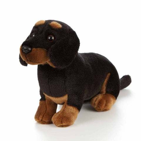 Living Nature - Dachshund