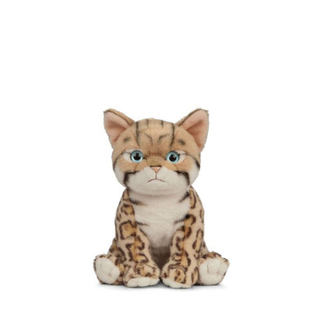 Living Nature - Bengal Kitten