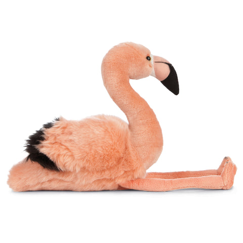Living Nature - Flamingo